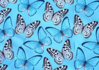 Debut Friedas Version