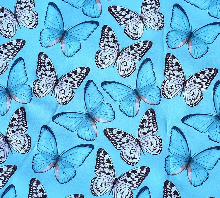 Debut Friedas Version