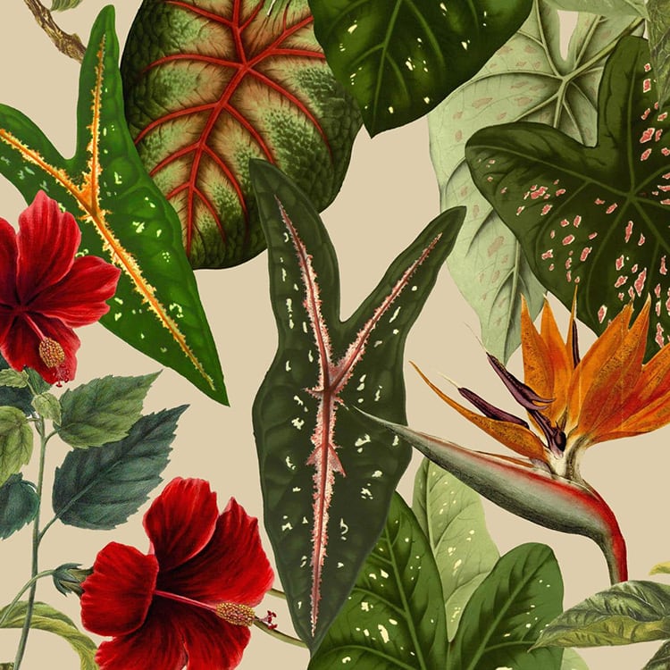 Visual Products Configurator option image