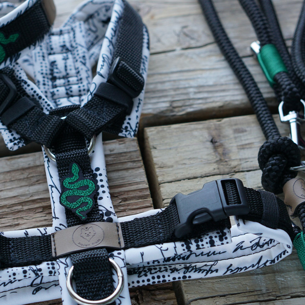 fraeuleinfrieda_hundegeschirre_hundeleinen_kollektionen_06