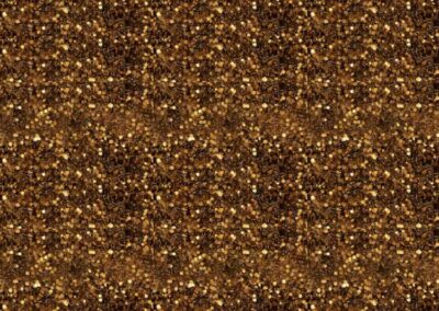 Fearless Friedas Version