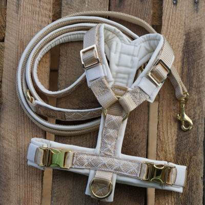 Geschirr Golden Boho