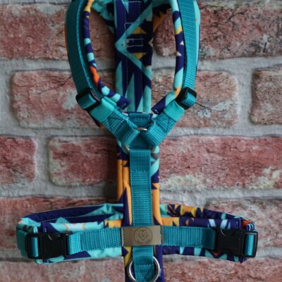 Geschirr Into the wild Petrol