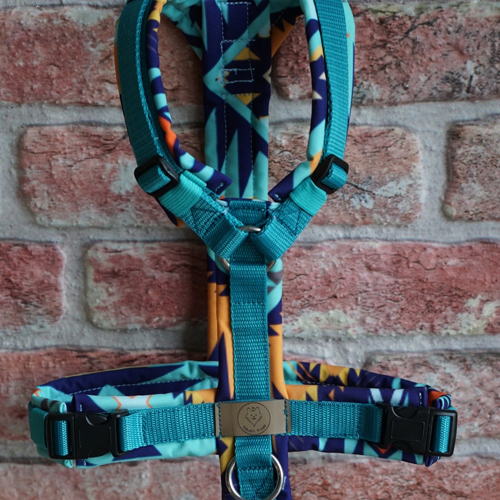 Geschirr Into the wild Petrol