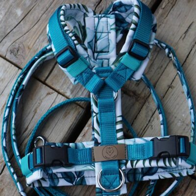 Geschirr Blue gum tree