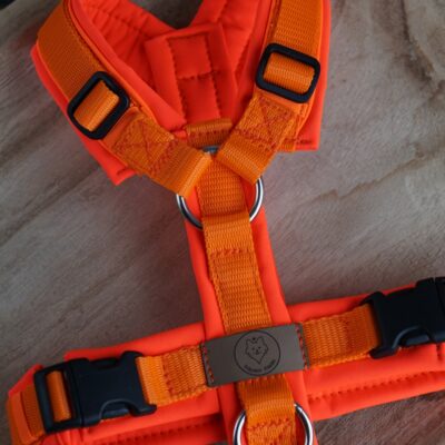 Geschirr Holy Aperoli