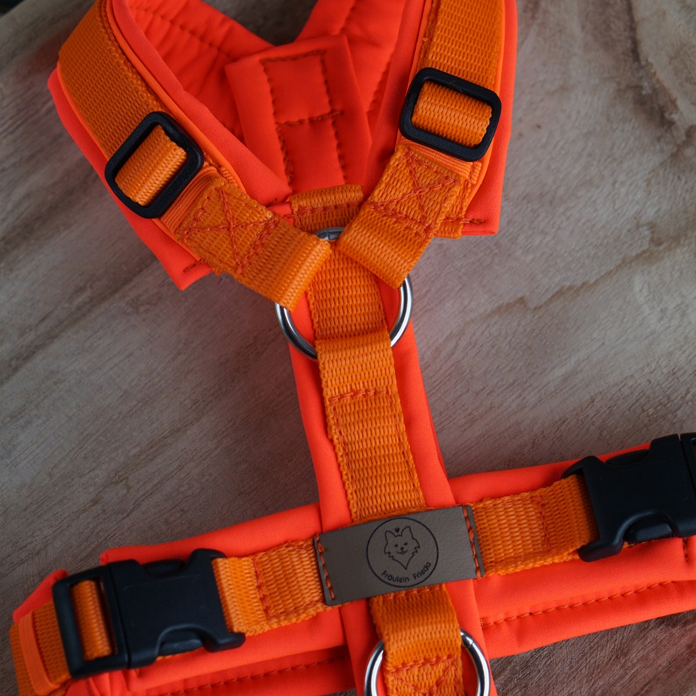 Geschirr Holy Aperoli