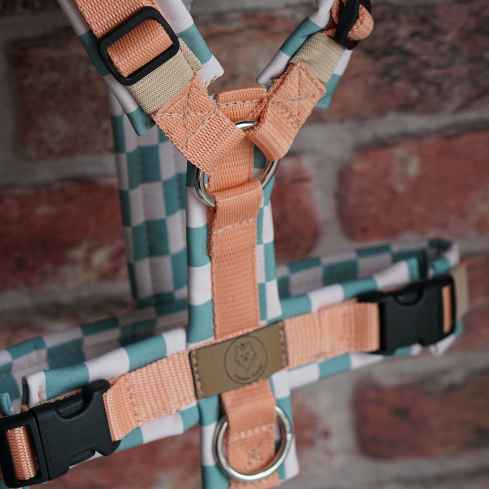 Geschirr Karos and Peaches