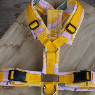 Geschirr Lemon blush