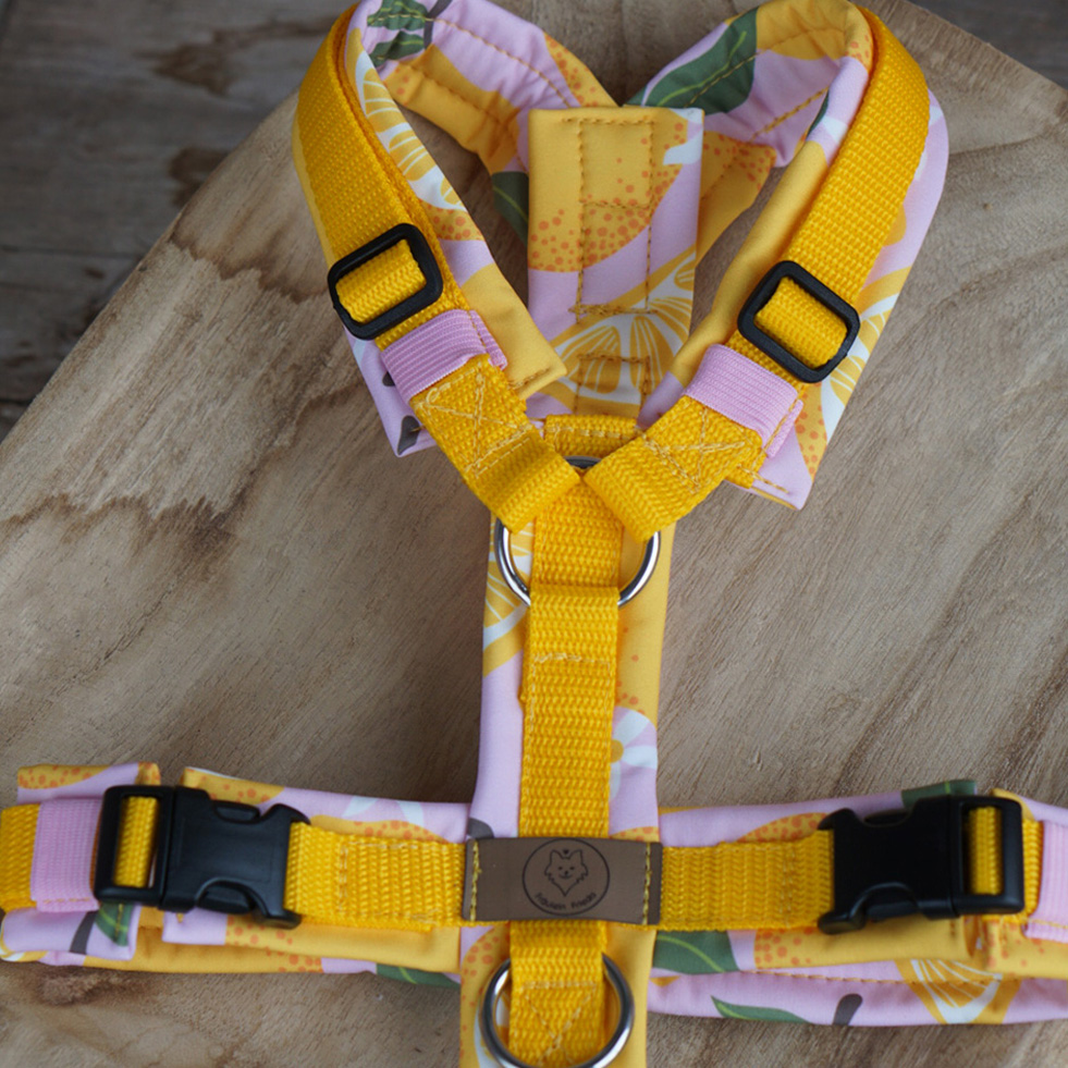 Geschirr Lemon blush