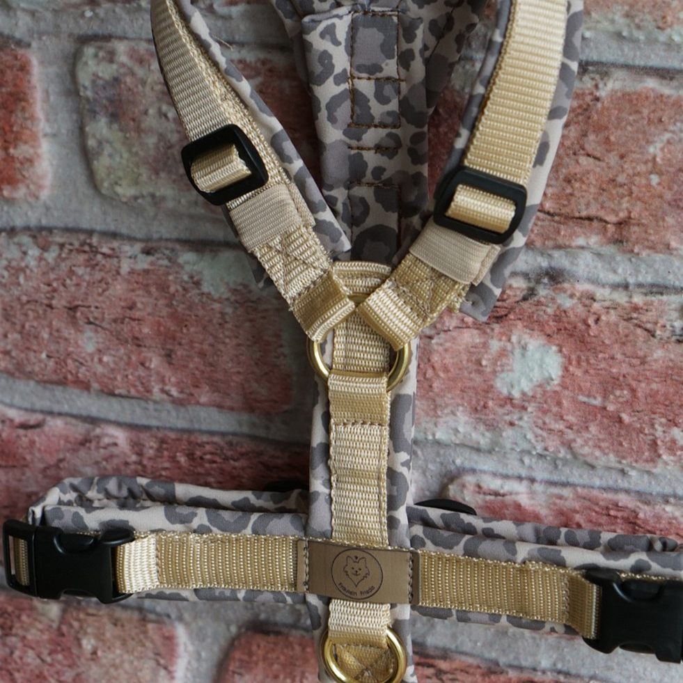 Geschirr Leo x Love beige