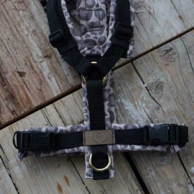 Geschirr Leo x Love black