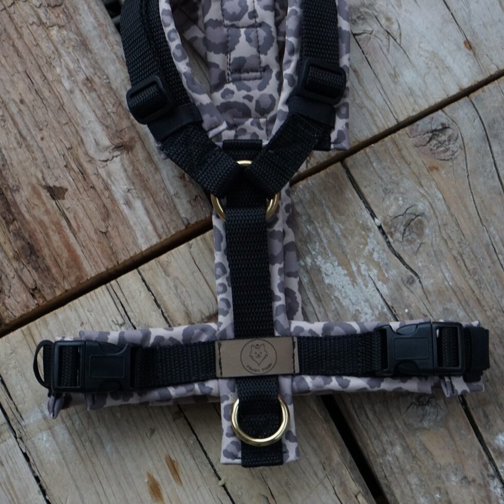 Geschirr Leo x Love black