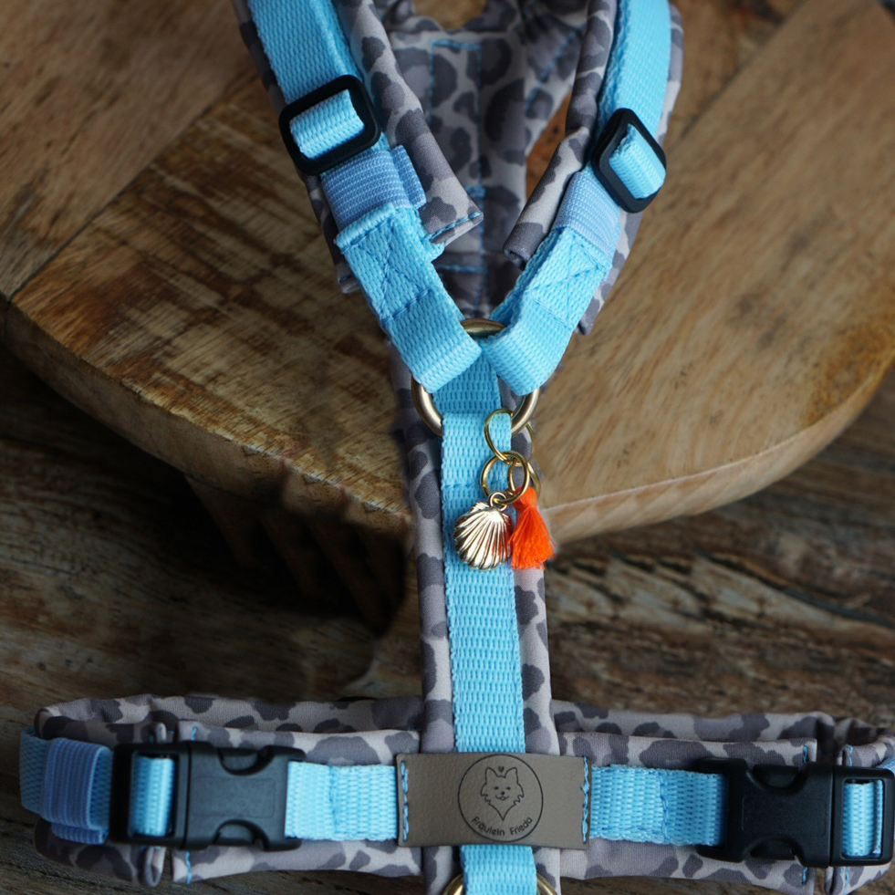 Geschirr Leo x Love blue