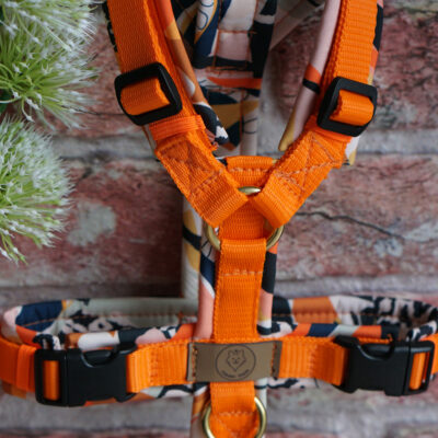 Geschirr Leo Splash orange