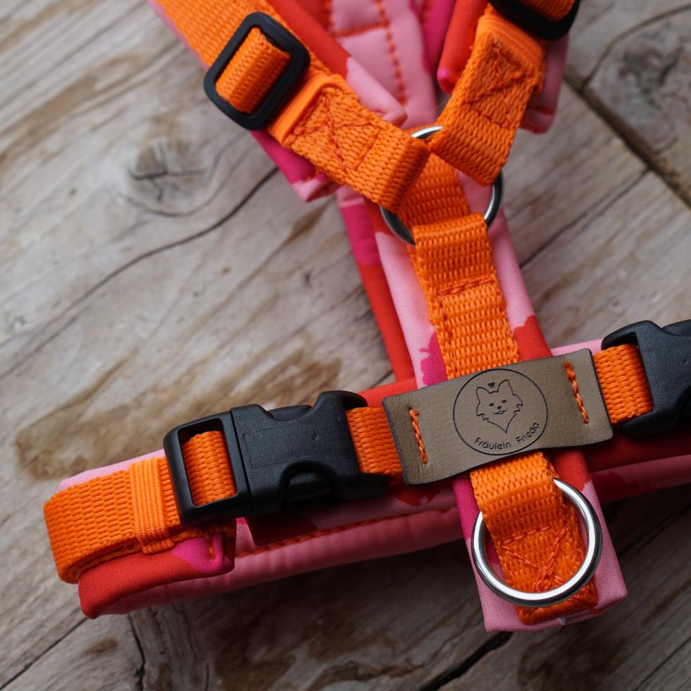 Geschirr Neon Leo orange