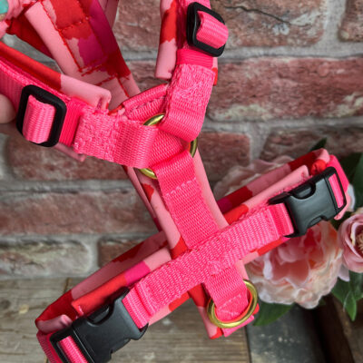 Geschirr Neon Leo pink