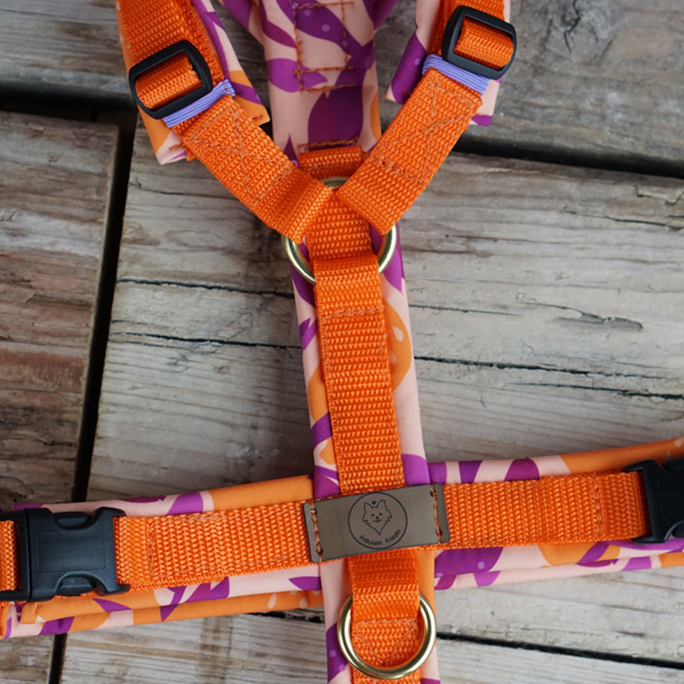 Geschirr Orange party