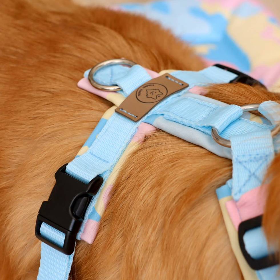 Geschirr Pastell Marshmallow