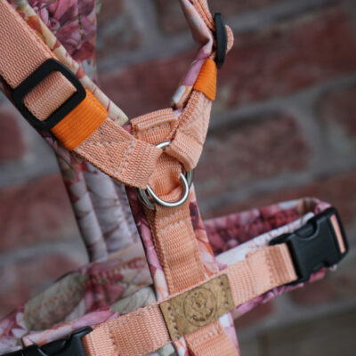 Geschirr Petit peche