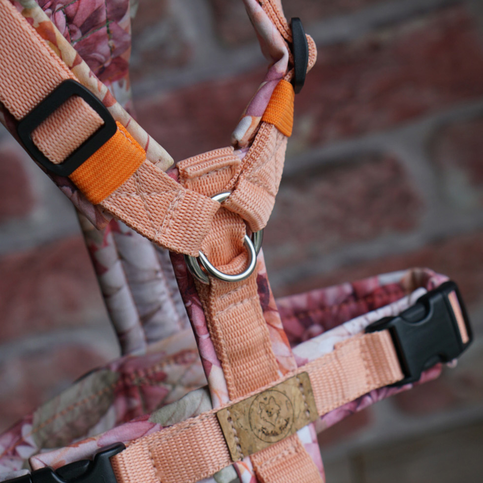 Geschirr Petit peche