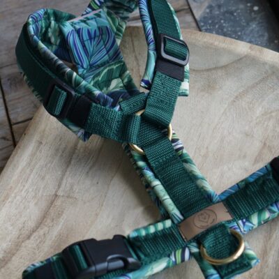 Geschirr Plants green