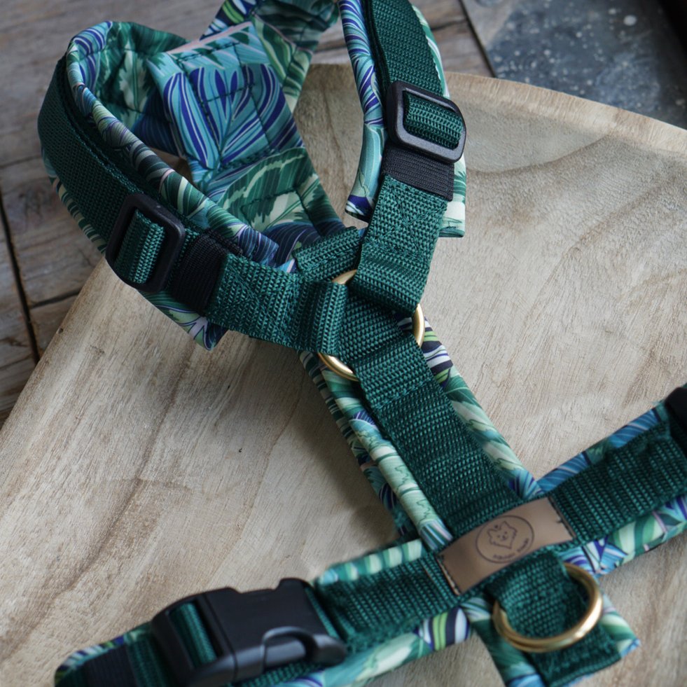 Geschirr Plants green