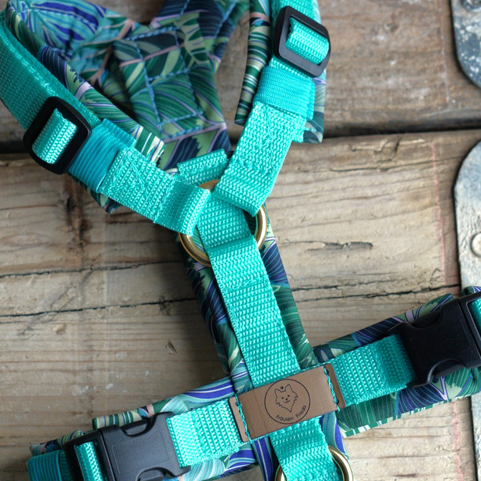 Geschirr Plants mint