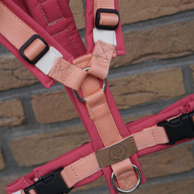 Geschirr Pomelo Spritz