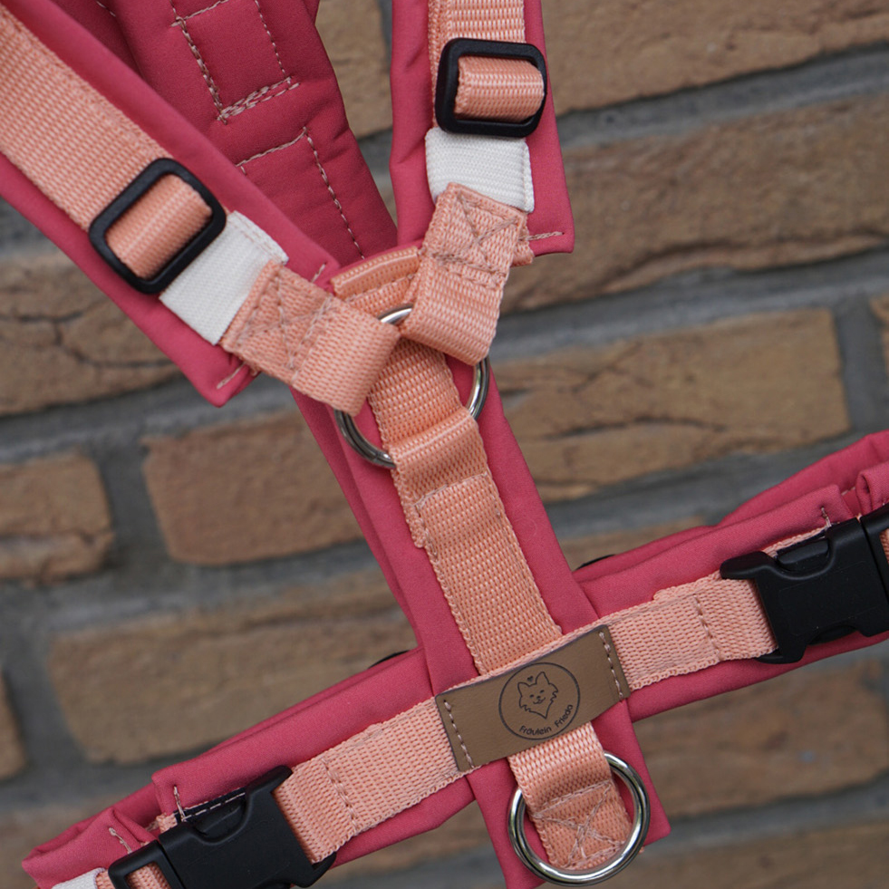 Geschirr Pomelo Spritz