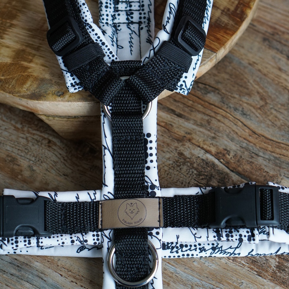 Sofortkauf Geschirr Reputation Gr. S