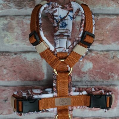 Geschirr Rusty Roses