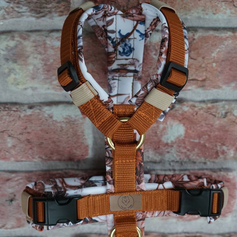 Geschirr Rusty Roses