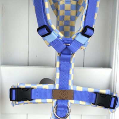 Geschirr Spring Candy blue