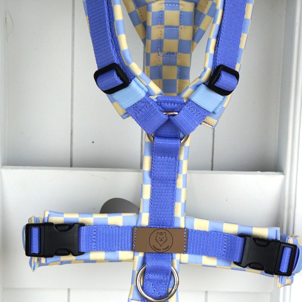 Geschirr Spring Candy blue