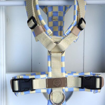 Geschirr Spring Candy creamy blue