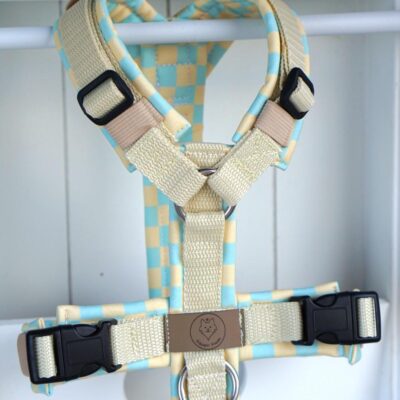 Geschirr Spring Candy creamy mint