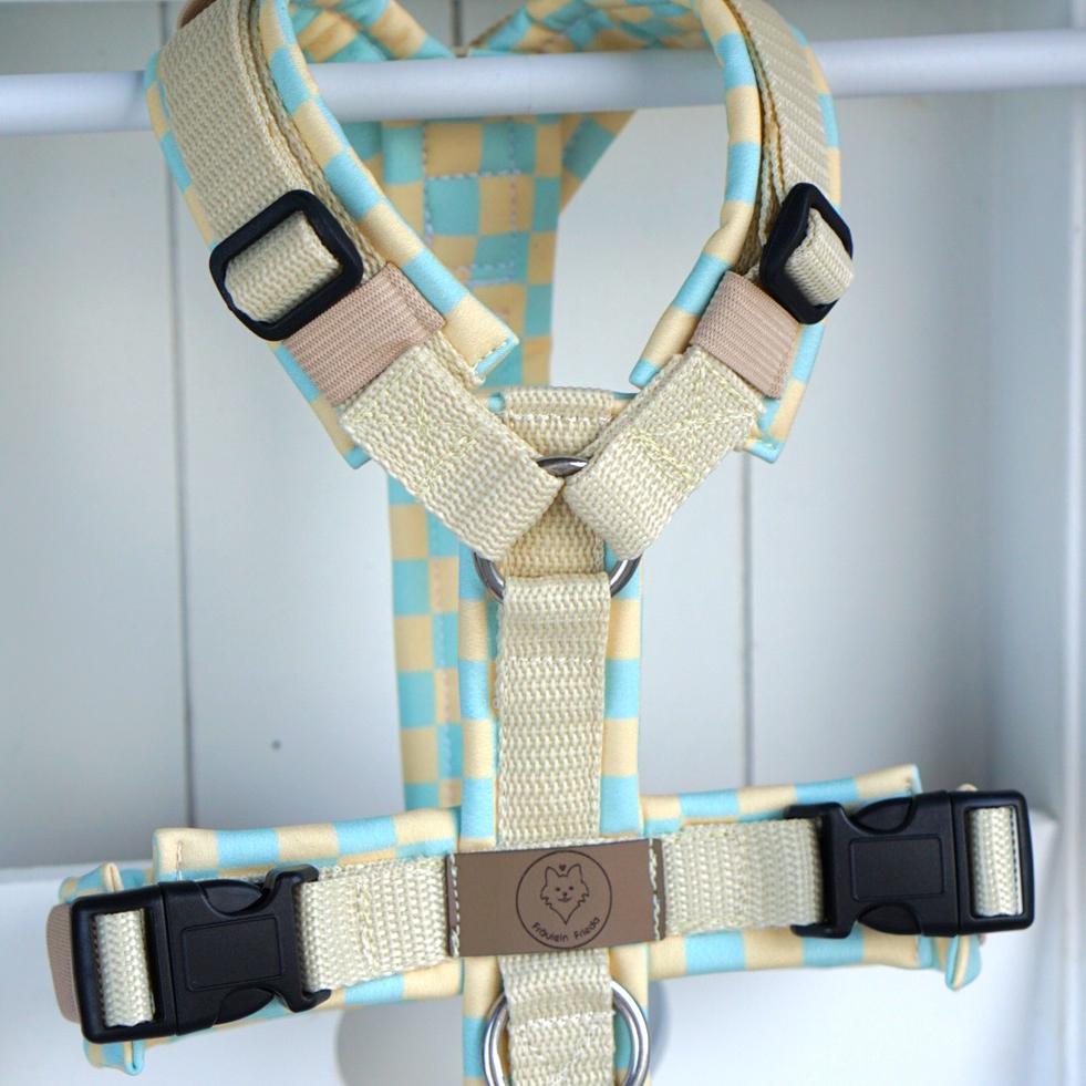 Geschirr Spring Candy creamy mint