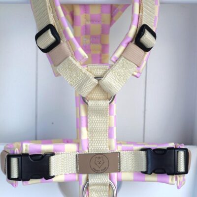 Geschirr Spring Candy creamy rosa