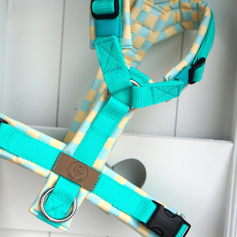 Geschirr Spring Candy mint