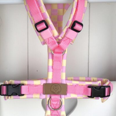 Geschirr Spring Candy rosa