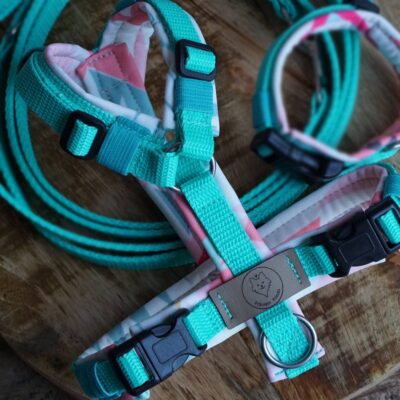 Geschirr Sugar Rush mint