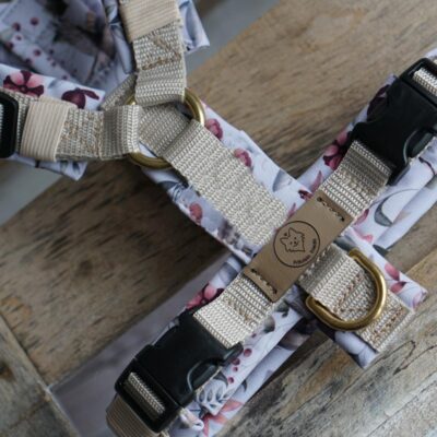 Geschirr White woods