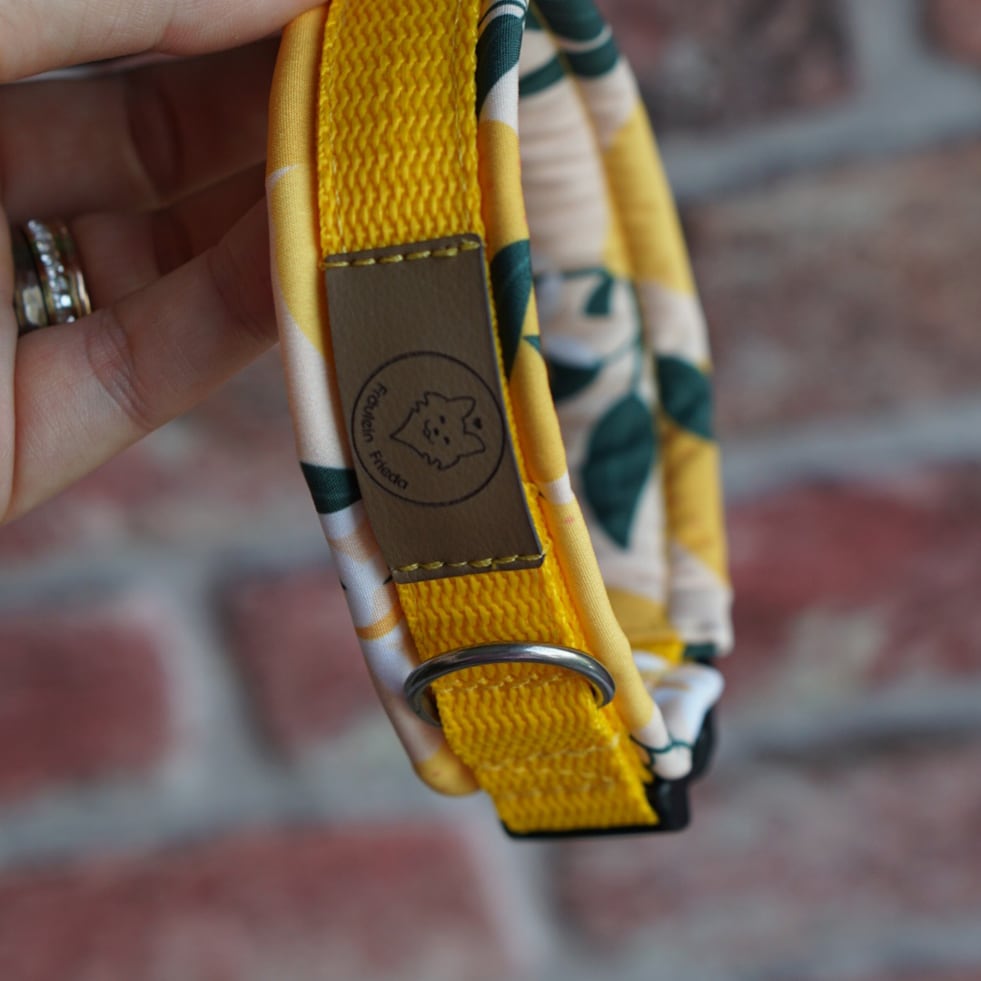 Halsband Lemon and leaves