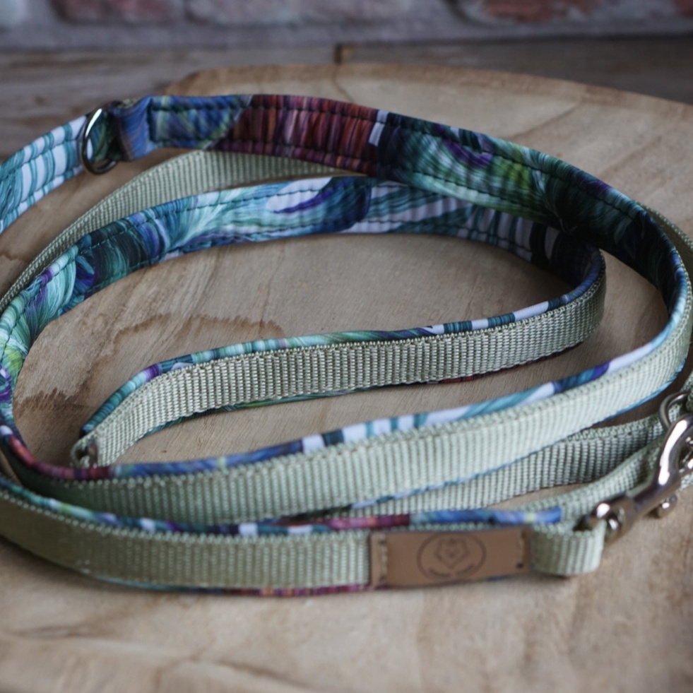 Gurtbandleine Moonflower