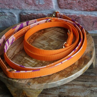 Gurtbandleine Orange party