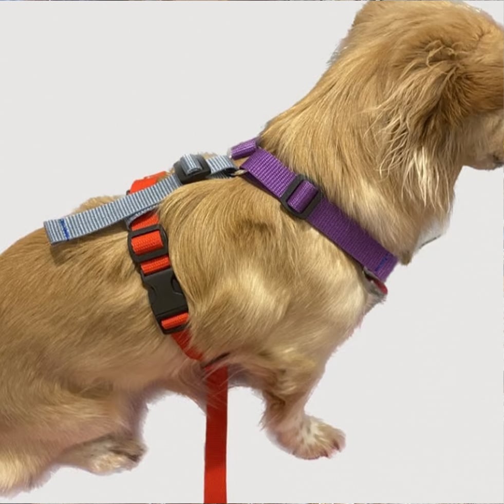 Messgeschirr Little Help – Bild 2