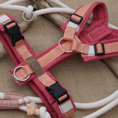 Sofortkauf Geschirr Pomello Spritz Gr. S