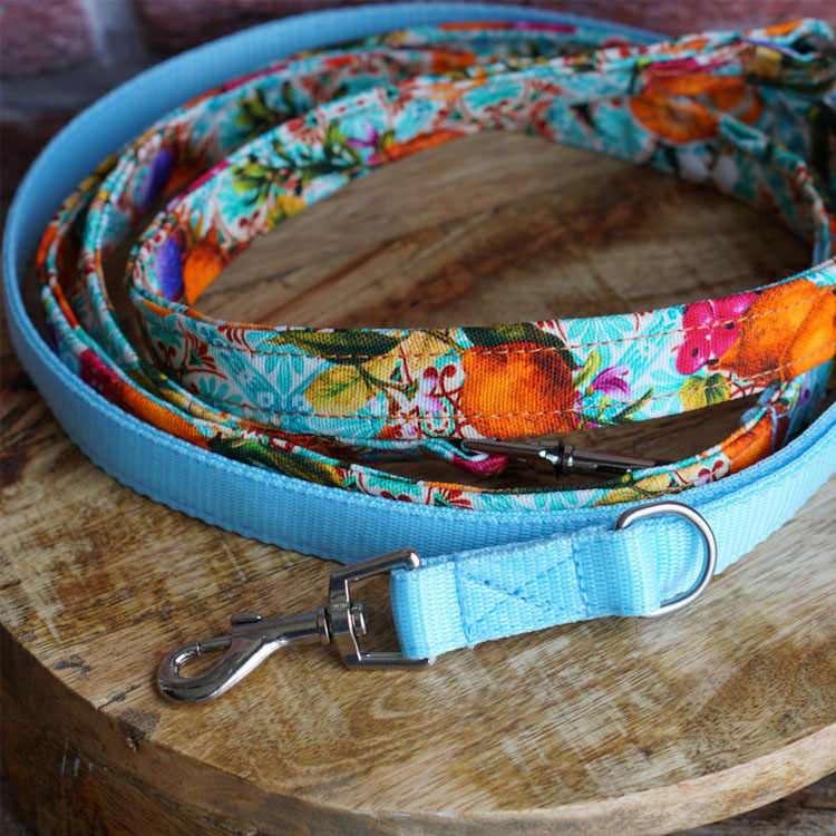 DUO Premium Leine Sweet Valencia - Pastellblau bis 30kg KGW