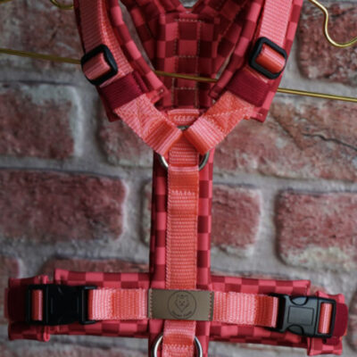 Sofortkauf Geschirr Cherry Lady Gr. S